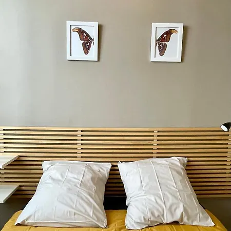 Apartment Unique! Maison Sur 1 Toit Avec Vue Extraordinaire! *